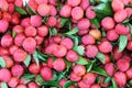 The close up of red Lichi fruit.