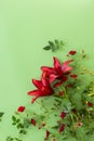 Close up of red lilies with red roses on green background Royalty Free Stock Photo