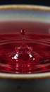 close up of red liquid drop creating splash in ceramic bowl Royalty Free Stock Photo