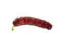 Close up red long mulberry on white background Royalty Free Stock Photo