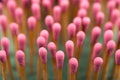 Close-up of a red matches Royalty Free Stock Photo