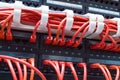 Close up of red network cables connected to switch Royalty Free Stock Photo