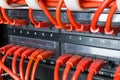 Close up of red network cables connected to switch Royalty Free Stock Photo