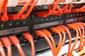 Close up of red network cables connected to switch Royalty Free Stock Photo