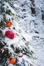 Close-up red New Year`s gift with a white ribbon next to Christmas toys on the branches of a snow-covered Christmas tree Royalty Free Stock Photo