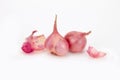 Close up red onion or shallots with shell