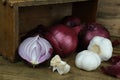 Close-up of red onion, whole onions and cut, garlic, concept of ingredients for cooking, vitamins for health, home herbal medicine