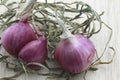 Close up Red Onion