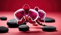 Close up of a red orchid with basalt stones on red colored background