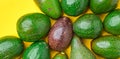 Close up red organic avocado in group of green avocados healthy food on yellow table background.modern organic fresh fruit.farm to Royalty Free Stock Photo