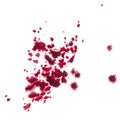 splattered red paint isolated on white background Royalty Free Stock Photo