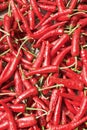 Close up of red paprika