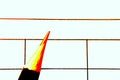 Close-up of a red pencil, selecting checkboxes in checkout form, business finance