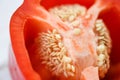 Close up red pepper bell background - bell pepper sliced or fresh sweet pepper seed