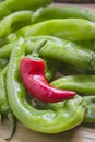 Close up of red pepper on green peppers Royalty Free Stock Photo