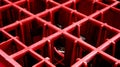 Close-Up of Red Plastic Grid Structure. Royalty Free Stock Photo