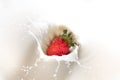 Close up of red ripe strawberry falling on white milk and yogurt with a splash, symbol of summer fruit and healthy organic diet Royalty Free Stock Photo