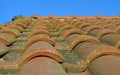 Close-up of red roman roof tiles Royalty Free Stock Photo