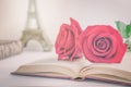 Close up of red rose flowers at opened old book with vintage ton Royalty Free Stock Photo