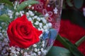 Close-up of a red rose that is part of a bouquet