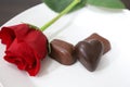 Close up red rose on plate with chocolate heart Royalty Free Stock Photo