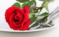 Close up of red rose, plate and cutlery