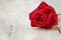 Close up of red Rose on wooden. Valentine's day, anniversary and congratulations background.