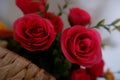 Close up of red roses fake flowers composition macro, flowers decoration ornamental background, made from fabric and plastic Royalty Free Stock Photo