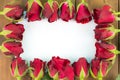 Close-up of red roses on a wooden background with Blank Message Sign for Your Text or Message. Greeting card with a red roses Royalty Free Stock Photo