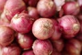 Close up of red shallot onion