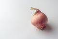 Close up Red shallot white background