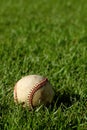 An old used baseball laying in the grass. Royalty Free Stock Photo