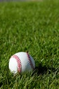 A new white baseball laying in the grass.