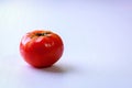 Close up of red tomato against white background Royalty Free Stock Photo