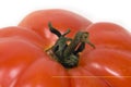 Close-up of red tomato izolated on white