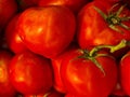 Close up of red tomatoes Royalty Free Stock Photo
