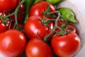 Close up of red tomatoes and green Royalty Free Stock Photo