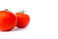 Close up red tomatoes isolated on white background.Tomato with droplets of water.Fresh tomatoes ready to cook.Tomatoes are vegetab Royalty Free Stock Photo