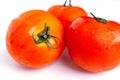 Close up red tomatoes isolated on white background.Tomato with droplets of water.Fresh tomatoes ready to cook.Tomatoes are vegetab