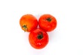 Close up red tomatoes isolated on white background.Tomato with droplets of water.Fresh tomatoes ready to cook.Tomatoes are vegetab