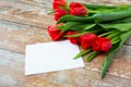 Close up of red tulips and blank paper or letter Royalty Free Stock Photo