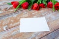 Close up of red tulips and blank paper or letter Royalty Free Stock Photo