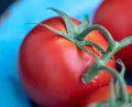 Close up of a red vine tomato on a blue plate Royalty Free Stock Photo