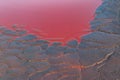 Close-up of red water polluted with iron ore waste Royalty Free Stock Photo