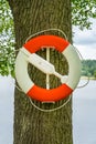 Close up of a red and white lifebuoy hanging on an oak tree by the water. Royalty Free Stock Photo