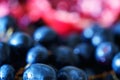 Close-up red wine grapes background Royalty Free Stock Photo