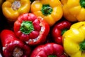 Close-up red and yellow bell peppers stuffed with meat. Royalty Free Stock Photo