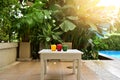 Close up of The red, yellow and green bell peppers placed on a white wooden table Inside the garden in Thailand. Concept for healt Royalty Free Stock Photo