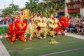 Close-up of Red and yellow Lion Head, Lion dance is a form of traditional dance and performance in Chinese culture.