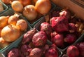 Close up of red and yellow onions at a farmer's market Royalty Free Stock Photo